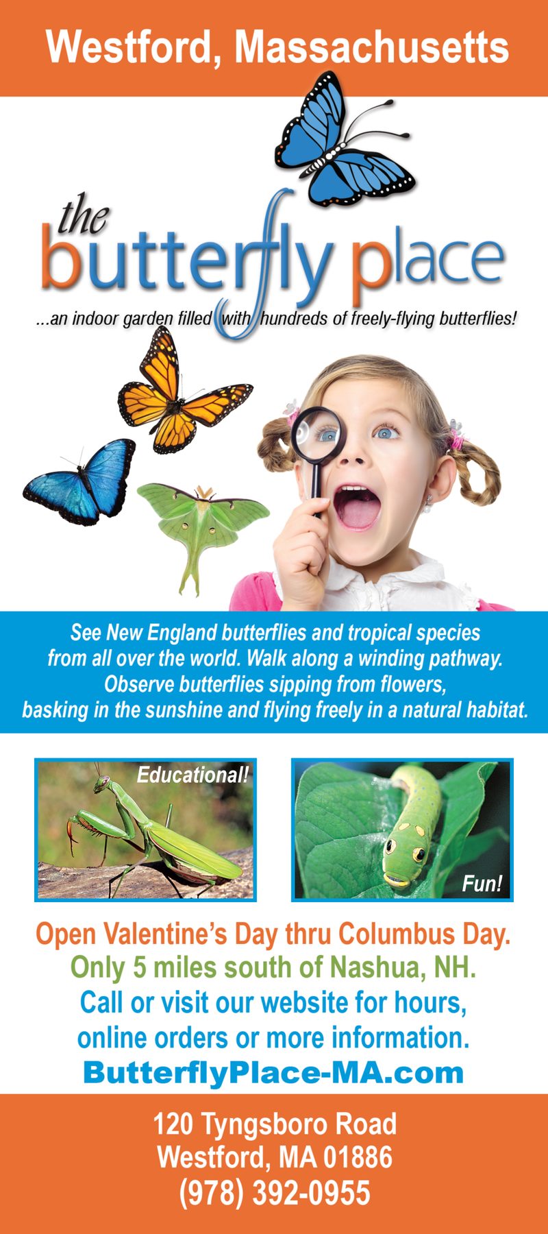 Butterfly Place rack card, 2022